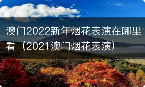 澳门2022新年烟花表演在哪里看（2021澳门烟花表演）