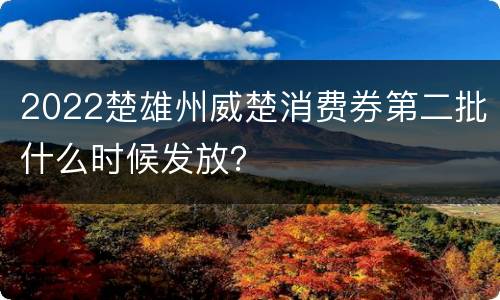 2022楚雄州威楚消费券第二批什么时候发放？