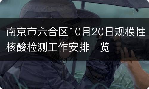 南京市六合区10月20日规模性核酸检测工作安排一览