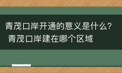 青茂口岸开通的意义是什么？ 青茂口岸建在哪个区域