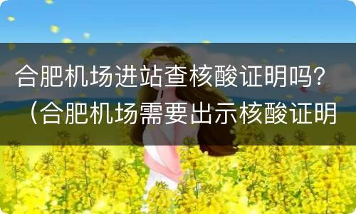 合肥机场进站查核酸证明吗？（合肥机场需要出示核酸证明吗）