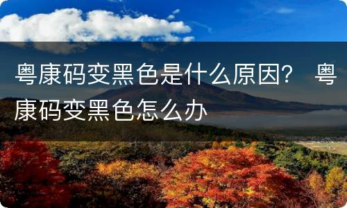 粤康码变黑色是什么原因？ 粤康码变黑色怎么办