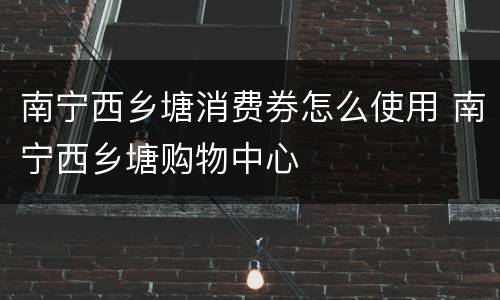 南宁西乡塘消费券怎么使用 南宁西乡塘购物中心