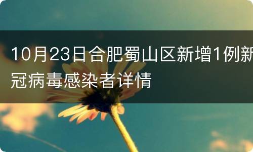 10月23日合肥蜀山区新增1例新冠病毒感染者详情