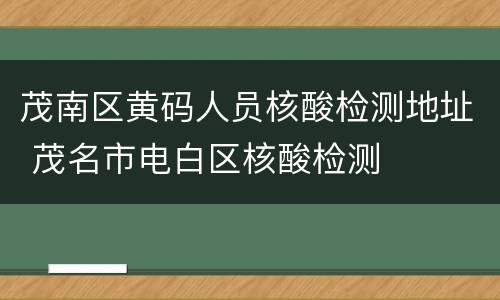 茂南区黄码人员核酸检测地址 茂名市电白区核酸检测