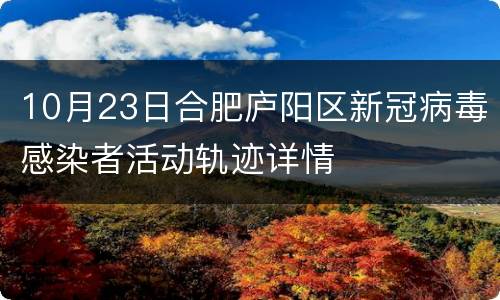 10月23日合肥庐阳区新冠病毒感染者活动轨迹详情