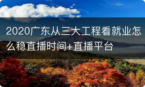 2020广东从三大工程看就业怎么稳直播时间+直播平台