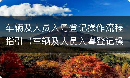 车辆及人员入粤登记操作流程指引（车辆及人员入粤登记操作流程指引图）
