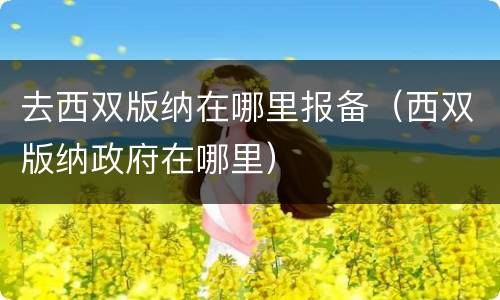 去西双版纳在哪里报备（西双版纳政府在哪里）