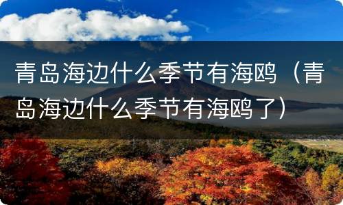 青岛海边什么季节有海鸥（青岛海边什么季节有海鸥了）