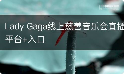 Lady Gaga线上慈善音乐会直播平台+入口