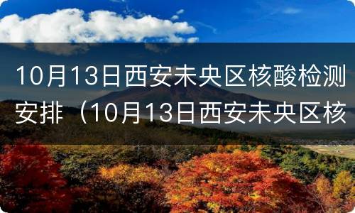 10月13日西安未央区核酸检测安排（10月13日西安未央区核酸检测安排）