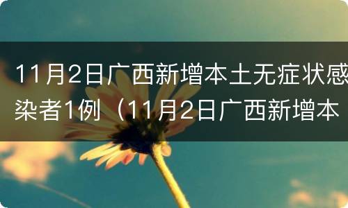 11月2日广西新增本土无症状感染者1例（11月2日广西新增本土无症状感染者1例）