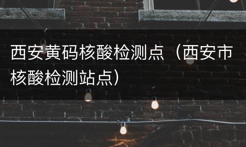 西安黄码核酸检测点（西安市核酸检测站点）