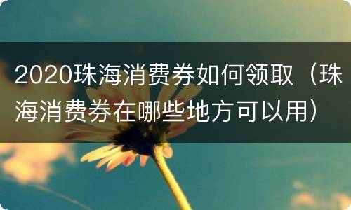 2020珠海消费券如何领取（珠海消费券在哪些地方可以用）