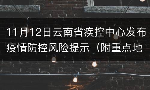 11月12日云南省疾控中心发布疫情防控风险提示（附重点地区来返要求）