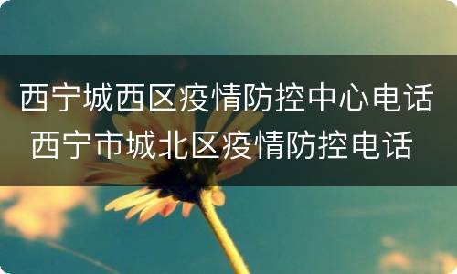 西宁城西区疫情防控中心电话 西宁市城北区疫情防控电话