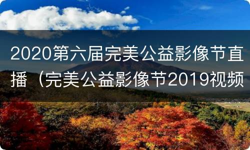 2020第六届完美公益影像节直播（完美公益影像节2019视频）