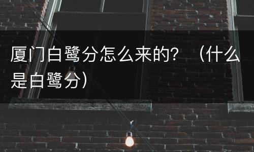 厦门白鹭分怎么来的？（什么是白鹭分）