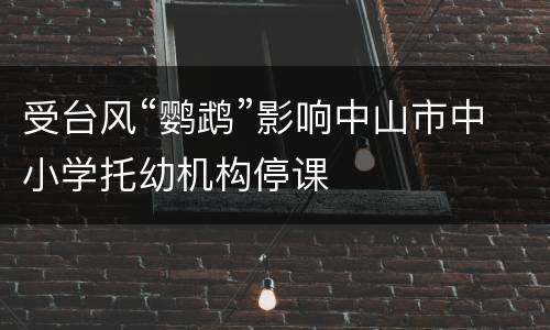 受台风“鹦鹉”影响中山市中小学托幼机构停课