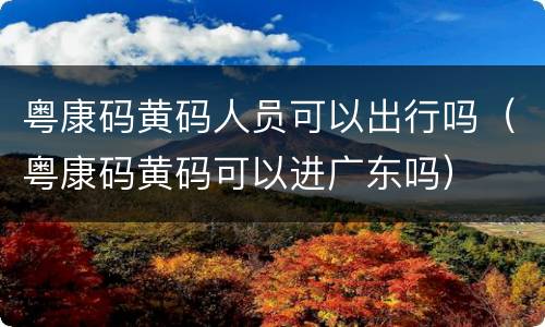 粤康码黄码人员可以出行吗（粤康码黄码可以进广东吗）
