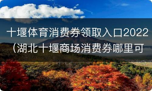 十堰体育消费券领取入口2022（湖北十堰商场消费券哪里可以用）
