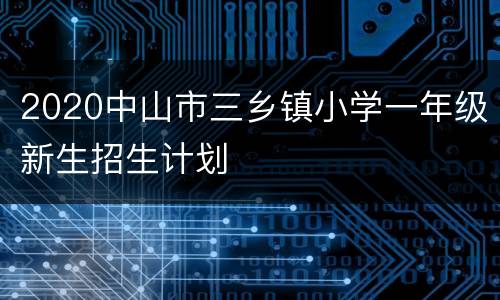 2020中山市三乡镇小学一年级新生招生计划