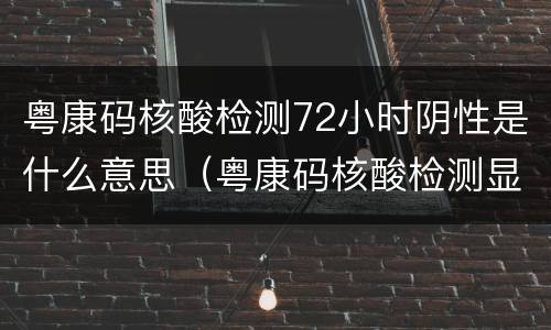 粤康码核酸检测72小时阴性是什么意思（粤康码核酸检测显示72小时阴性是什么意思）