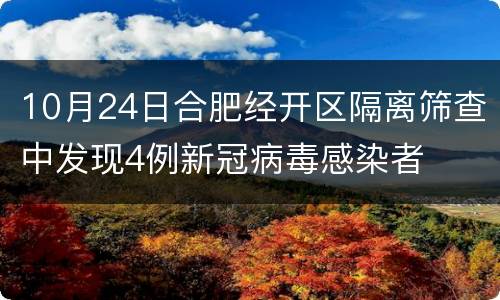 10月24日合肥经开区隔离筛查中发现4例新冠病毒感染者