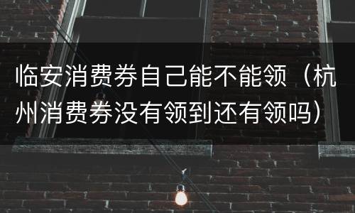 临安消费券自己能不能领（杭州消费券没有领到还有领吗）