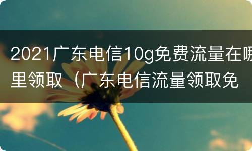 2021广东电信10g免费流量在哪里领取（广东电信流量领取免费流量2021）