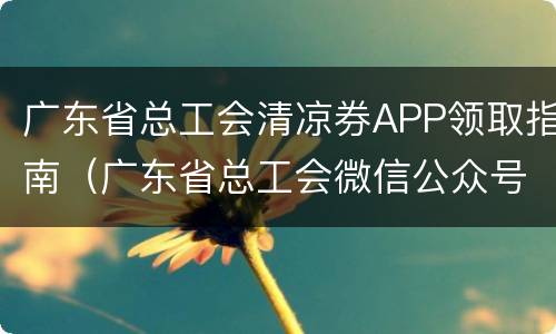 广东省总工会清凉券APP领取指南（广东省总工会微信公众号）