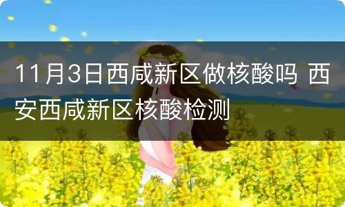 11月3日西咸新区做核酸吗 西安西咸新区核酸检测