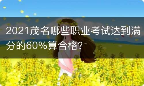 2021茂名哪些职业考试达到满分的60%算合格？