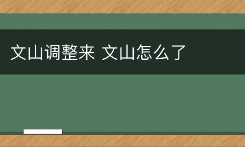 文山调整来 文山怎么了
