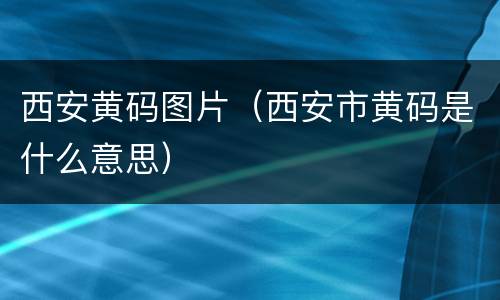 西安黄码图片（西安市黄码是什么意思）