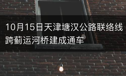 10月15日天津塘汉公路联络线跨蓟运河桥建成通车