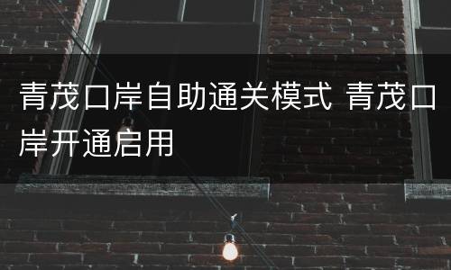 青茂口岸自助通关模式 青茂口岸开通启用