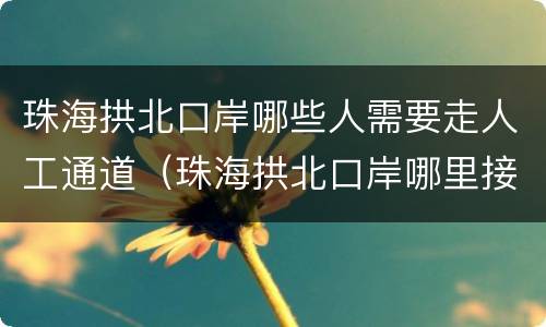 珠海拱北口岸哪些人需要走人工通道（珠海拱北口岸哪里接人）