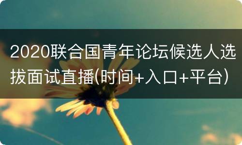 2020联合国青年论坛候选人选拔面试直播(时间+入口+平台)