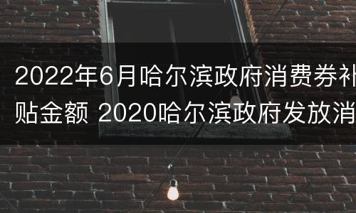 2022年6月哈尔滨政府消费券补贴金额 2020哈尔滨政府发放消费券第三批