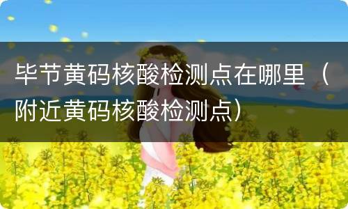 毕节黄码核酸检测点在哪里（附近黄码核酸检测点）
