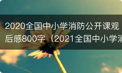 2020全国中小学消防公开课观后感800字（2021全国中小学消防公开课观后感）
