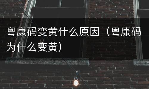 粤康码变黄什么原因（粤康码为什么变黄）