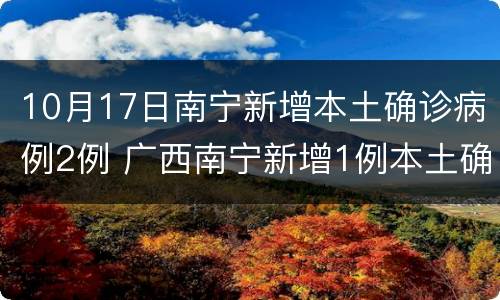 10月17日南宁新增本土确诊病例2例 广西南宁新增1例本土确诊病例