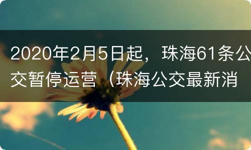 2020年2月5日起，珠海61条公交暂停运营（珠海公交最新消息）