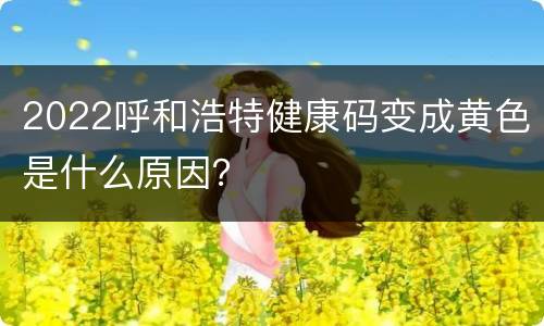 2022呼和浩特健康码变成黄色是什么原因？