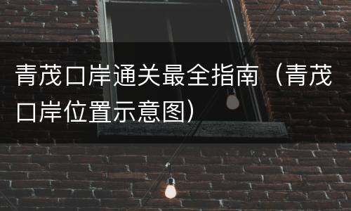 青茂口岸通关最全指南（青茂口岸位置示意图）