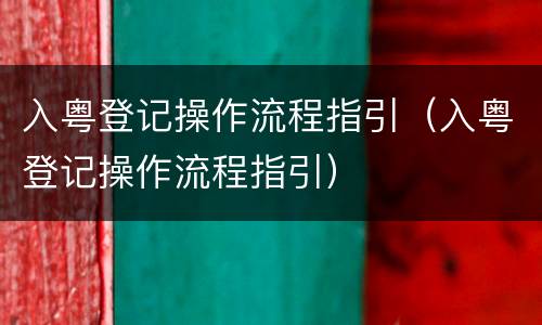 入粤登记操作流程指引（入粤登记操作流程指引）