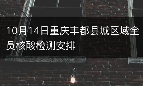 10月14日重庆丰都县城区域全员核酸检测安排